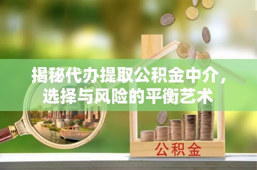 广水揭秘代办提取公积金中介，选择与风险的平衡艺术